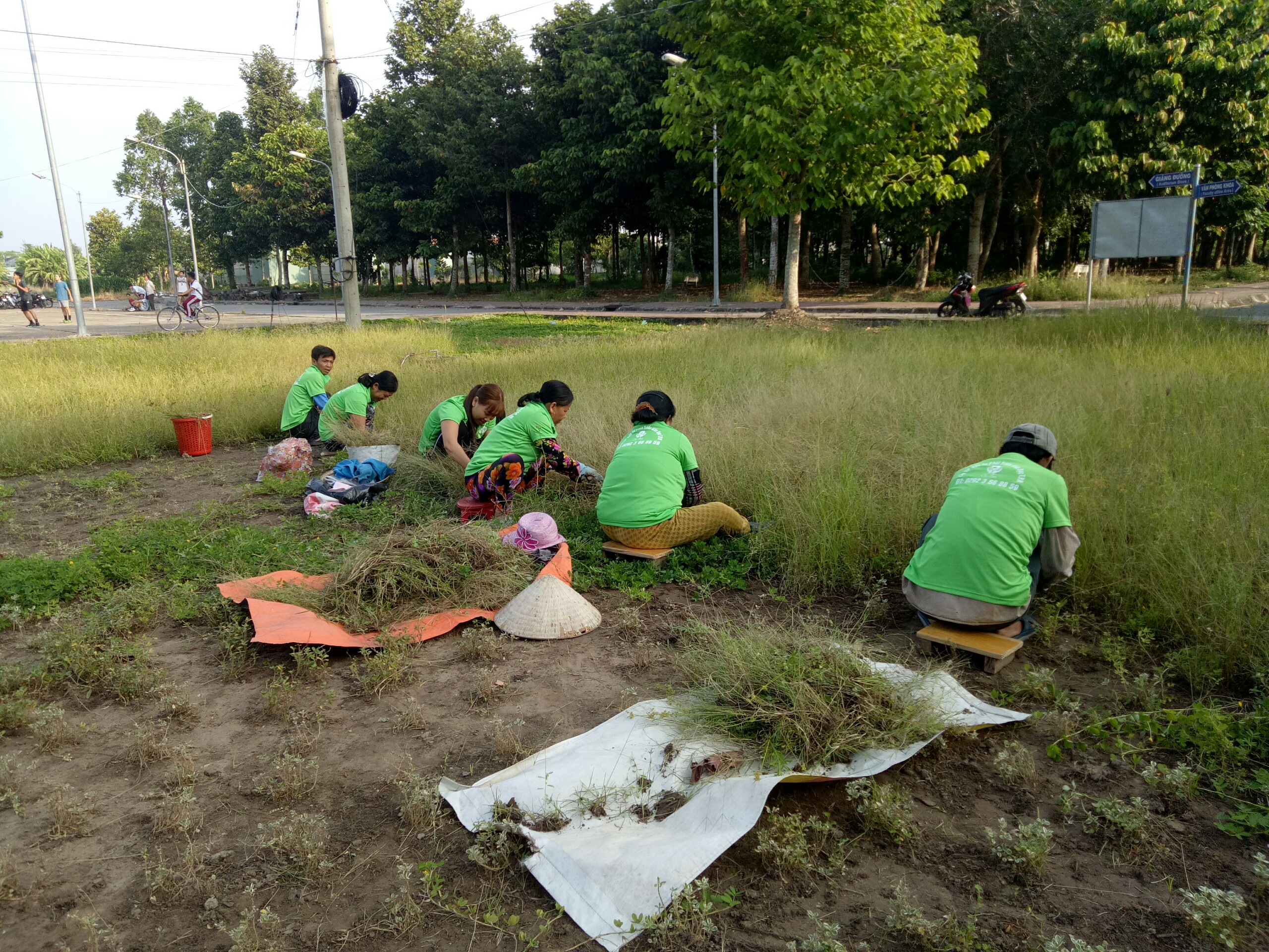 Chăm sóc cây cảnh trường Đại học An Giang